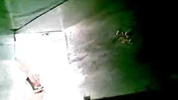Aksi gaya anjing dengan Riley Steele yang menggoda dari Evil Angel video awek seks